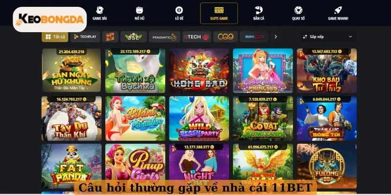 Tổng hợp những câu hỏi thường gặp về nhà cái 11BET