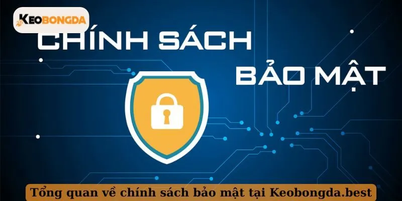 Tổng quan về chính sách bảo mật tại Keobongda.best