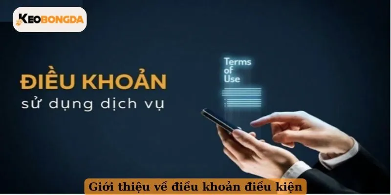 Giới thiệu về điều khoản điều kiện