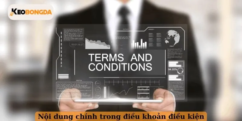 Nội dung chính trong điều khoản điều kiện