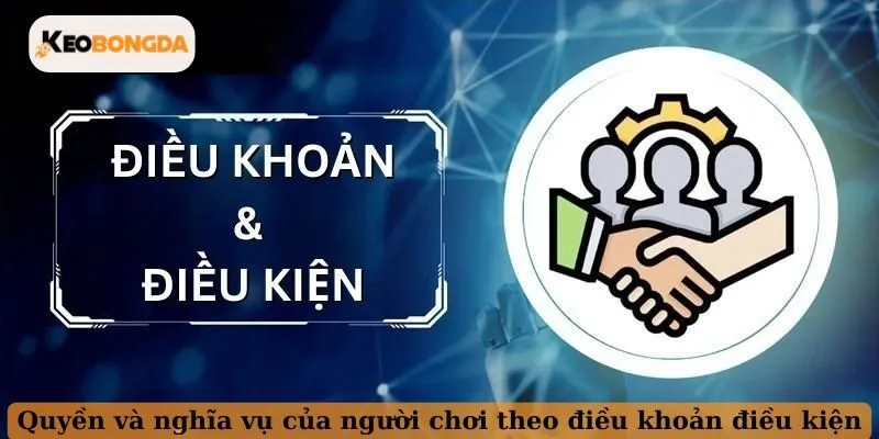 Quyền và nghĩa vụ của người chơi theo điều khoản điều kiện