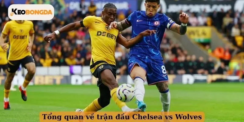 Tổng quan về trận đấu Chelsea vs Wolves