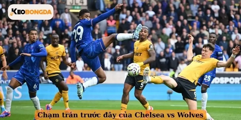 Chạm trán trước đây của Chelsea vs Wolves