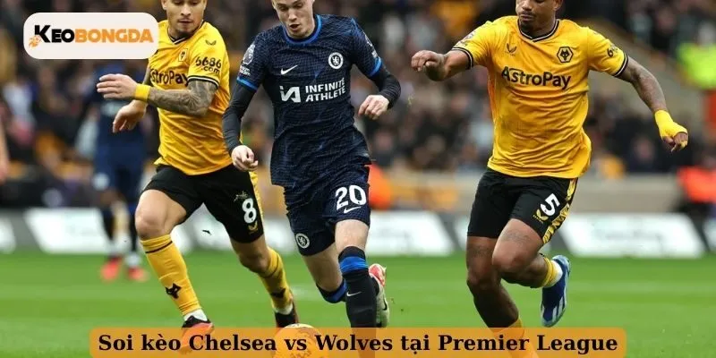 Soi kèo Chelsea vs Wolves tại Premier League