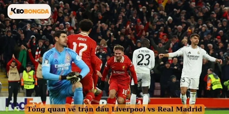 Tổng quan về trận đấu Liverpool vs Real Madrid