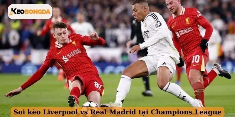 Soi kèo Liverpool vs Real Madrid tại Champions League
