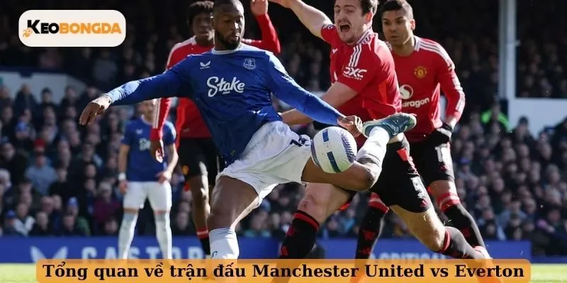 Tổng quan về trận đấu Manchester United vs Everton