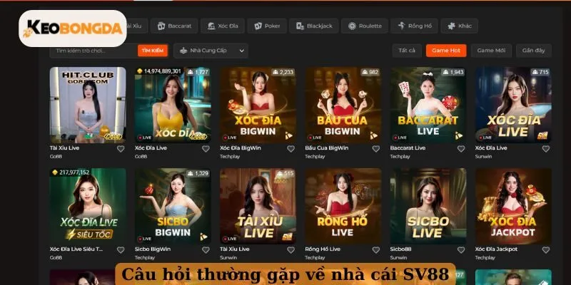Câu hỏi thường gặp