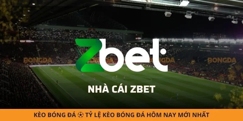 ZBET - Hiểu Chuẩn Chỉ Từ A - Z Về Nhà Cái Uy Tín Hàng Đầu