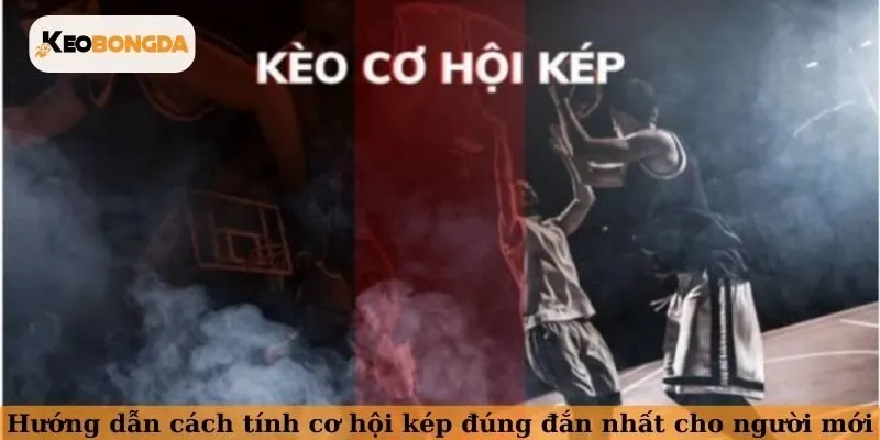 Hướng dẫn cách tính cơ hội kép đúng đắn nhất cho người mới