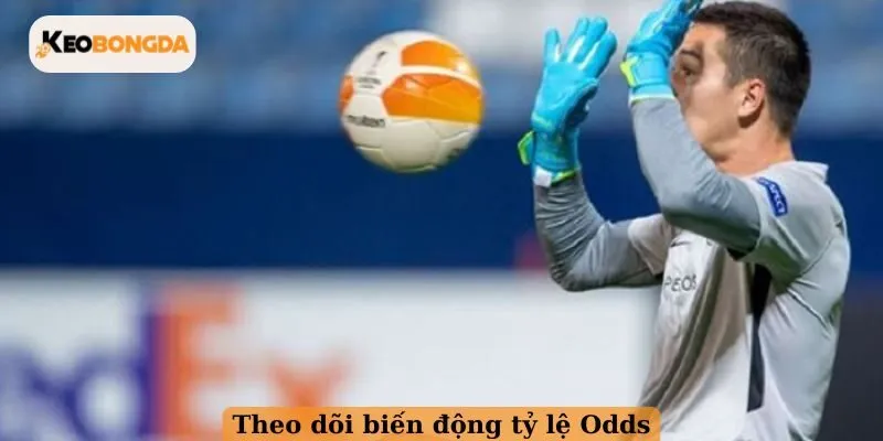 Theo dõi biến động tỷ lệ Odds