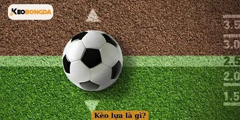Kèo lựa là gì?