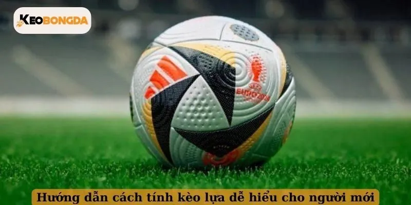 Hướng dẫn cách tính kèo lựa dễ hiểu cho người mới