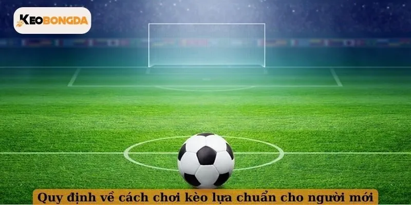 Quy định về cách chơi kèo lựa chuẩn cho người mới