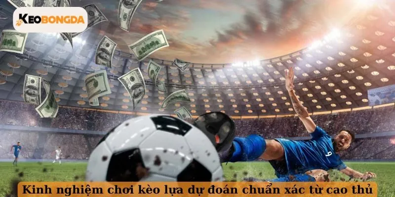 Kinh nghiệm chơi kèo lựa dự đoán chuẩn xác từ cao thủ