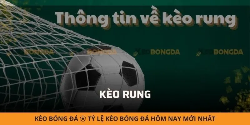 Hướng dẫn chơi kèo rung (Running Bet) và bí quyết dự đoán chuẩn xác