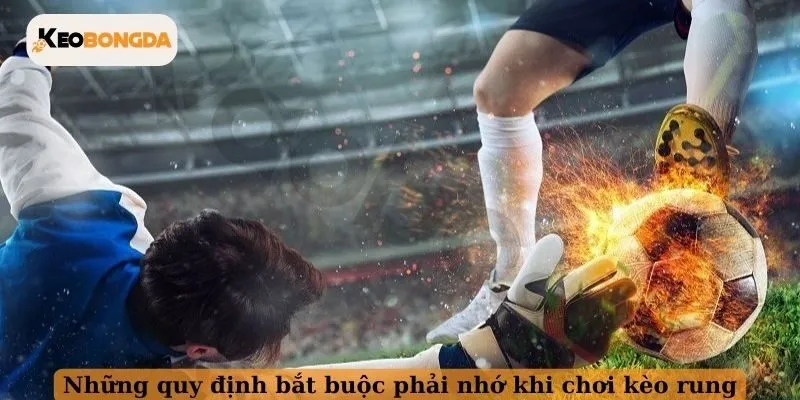 Những quy định bắt buộc phải nhớ khi chơi kèo rung