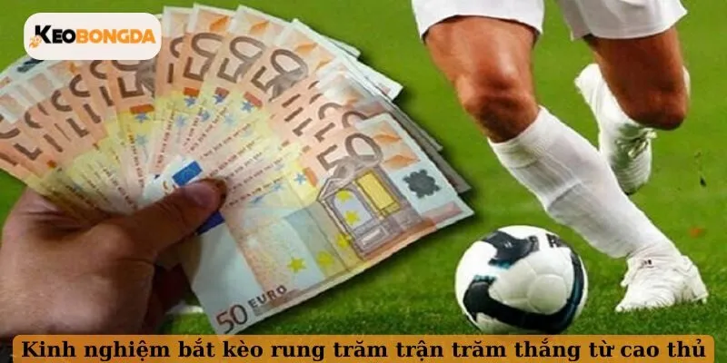 Kinh nghiệm bắt kèo rung trăm trận trăm thắng từ cao thủ