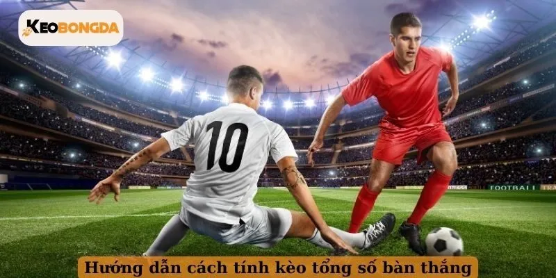Hướng dẫn cách tính kèo tổng số bàn thắng
