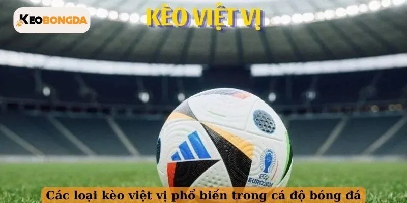 Các loại kèo việt vị phổ biến trong cá độ bóng đá