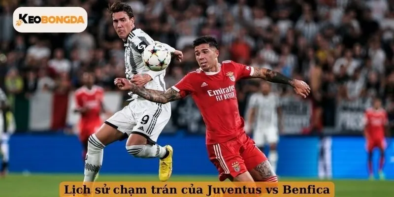 Lịch sử chạm trán của Juventus vs Benfica