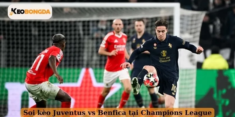 Soi kèo Juventus vs Benfica tại Champions League 2025/2026
