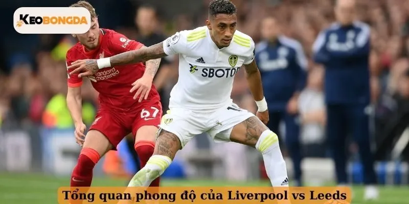 Tổng quan phong độ của Liverpool vs Leeds