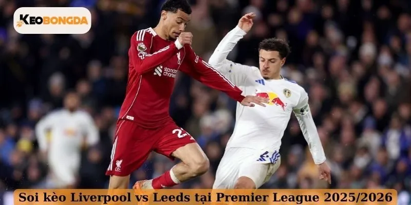 Soi kèo Liverpool vs Leeds tại Premier League 2025/2026