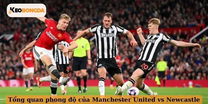 Tổng quan phong độ của Manchester United vs Newcastle