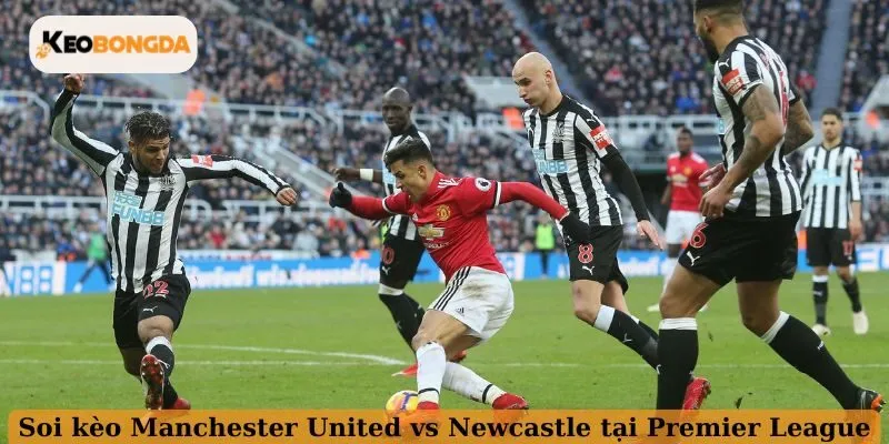 Soi kèo Manchester United vs Newcastle tại Premier League 2025/2026