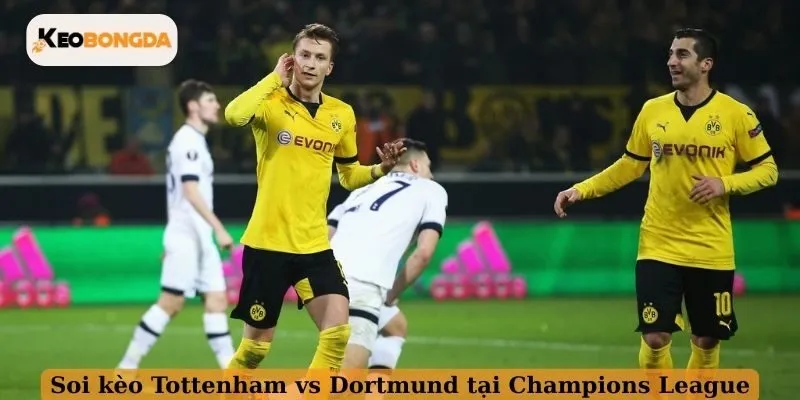 Soi kèo Tottenham vs Dortmund tại Champions League 2025/2026